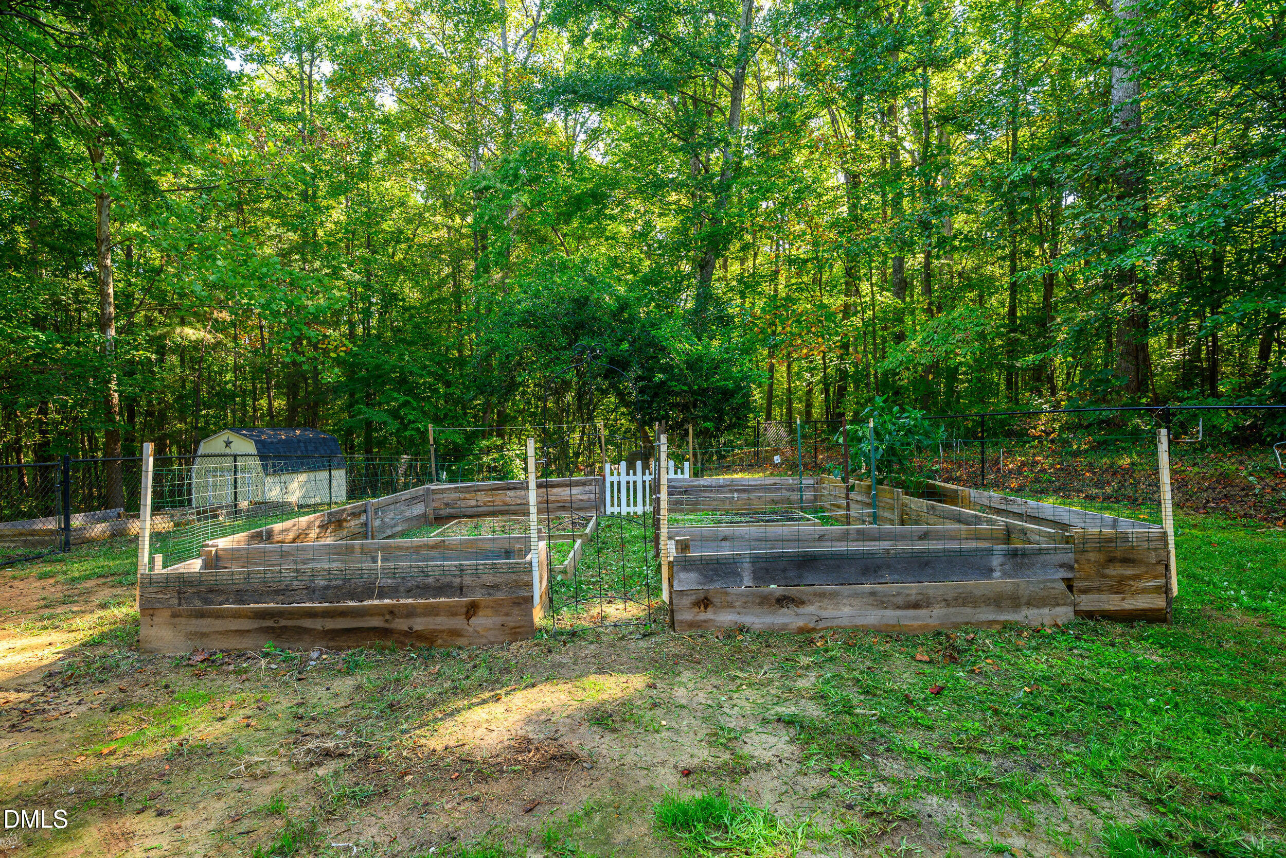 2026 Thoroughbred Lane