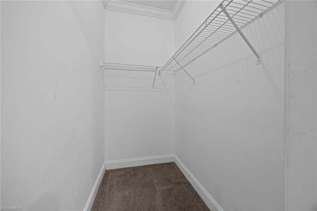 1234 Deer Trail