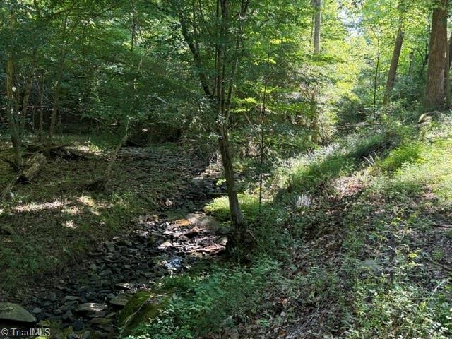 Wooded property with a rocky stream running through trees and undergrowth.