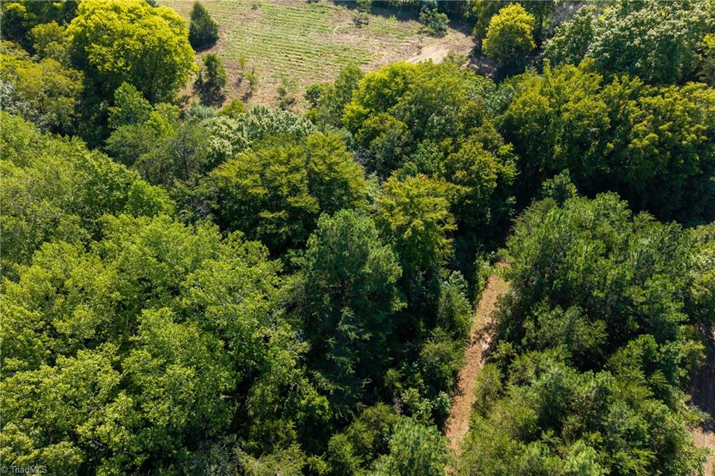 Lot 2 Pennstar Trail