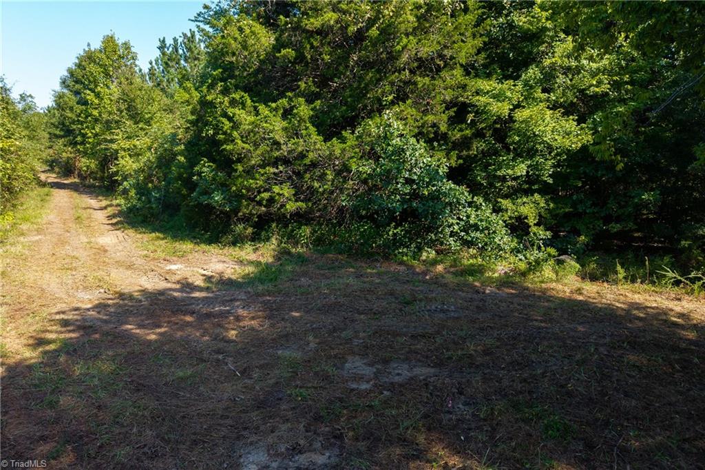 Lot 2 Pennstar Trail