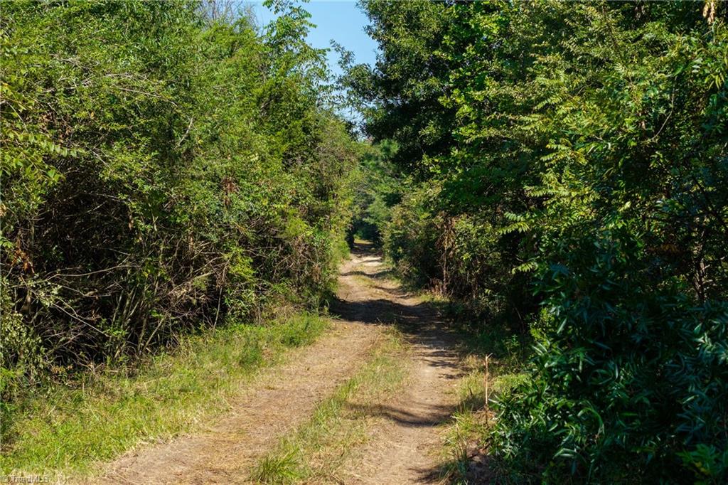 Lot 2 Pennstar Trail