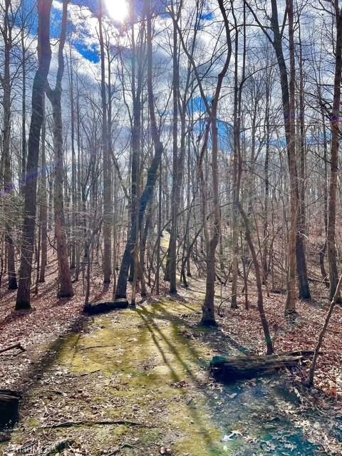 325 Buckhorn Ridge Road