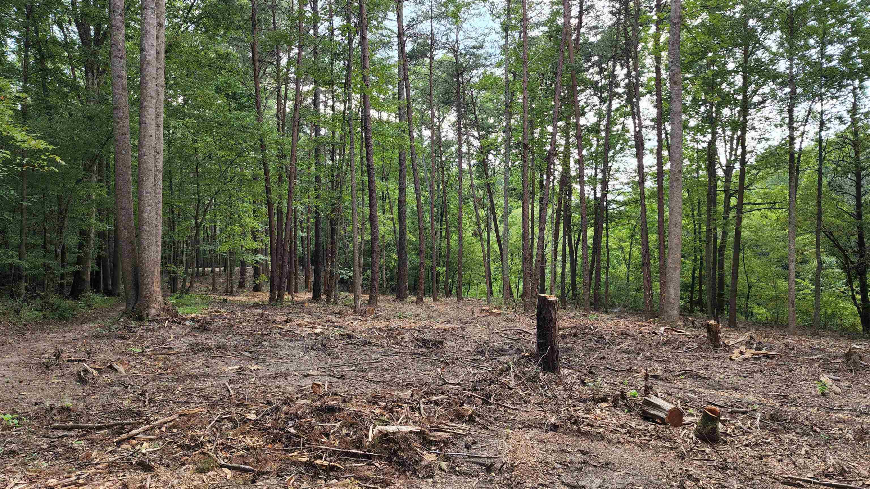 2000 Haith Fuller Trail