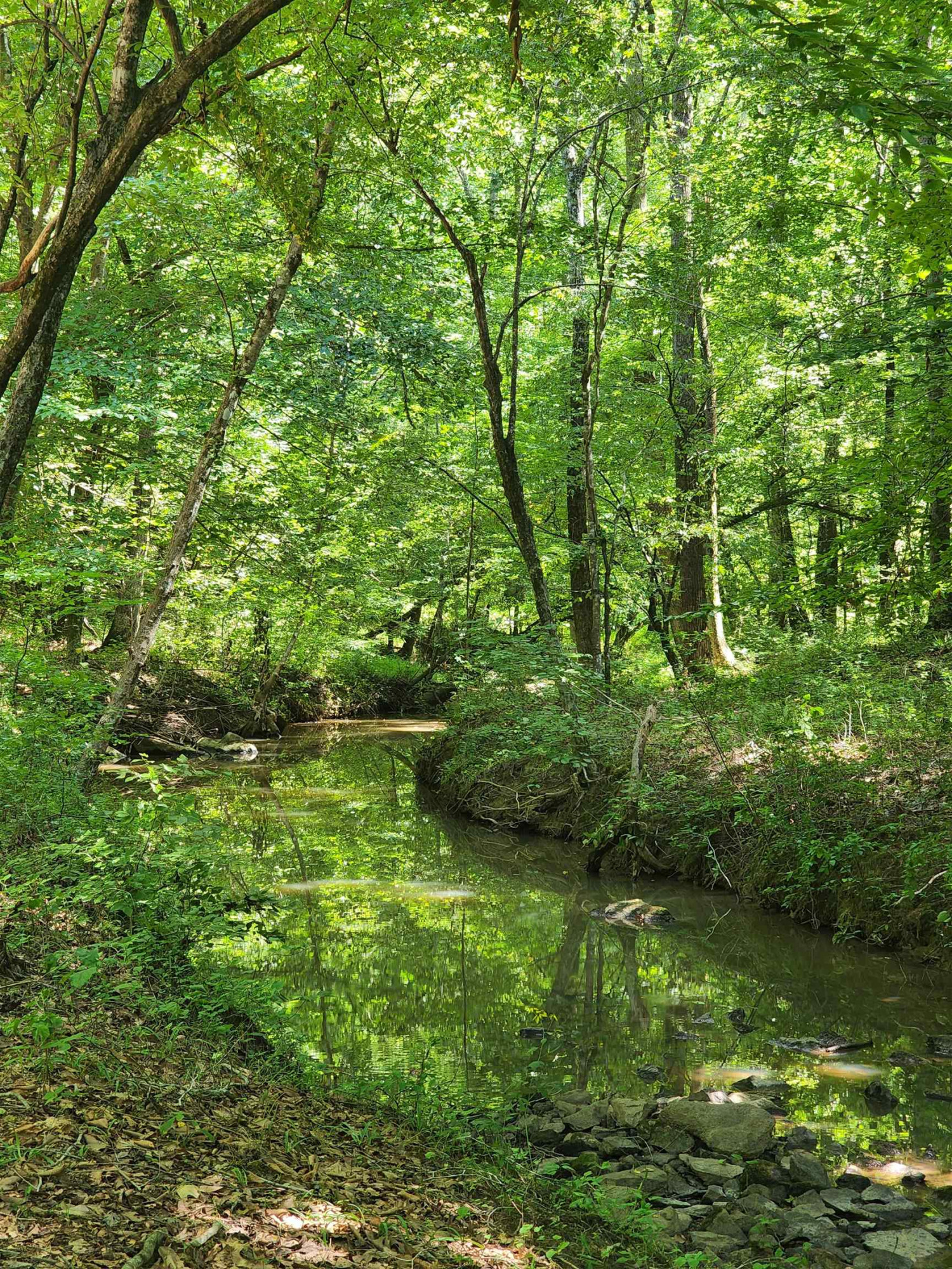 2000 Haith Fuller Trail