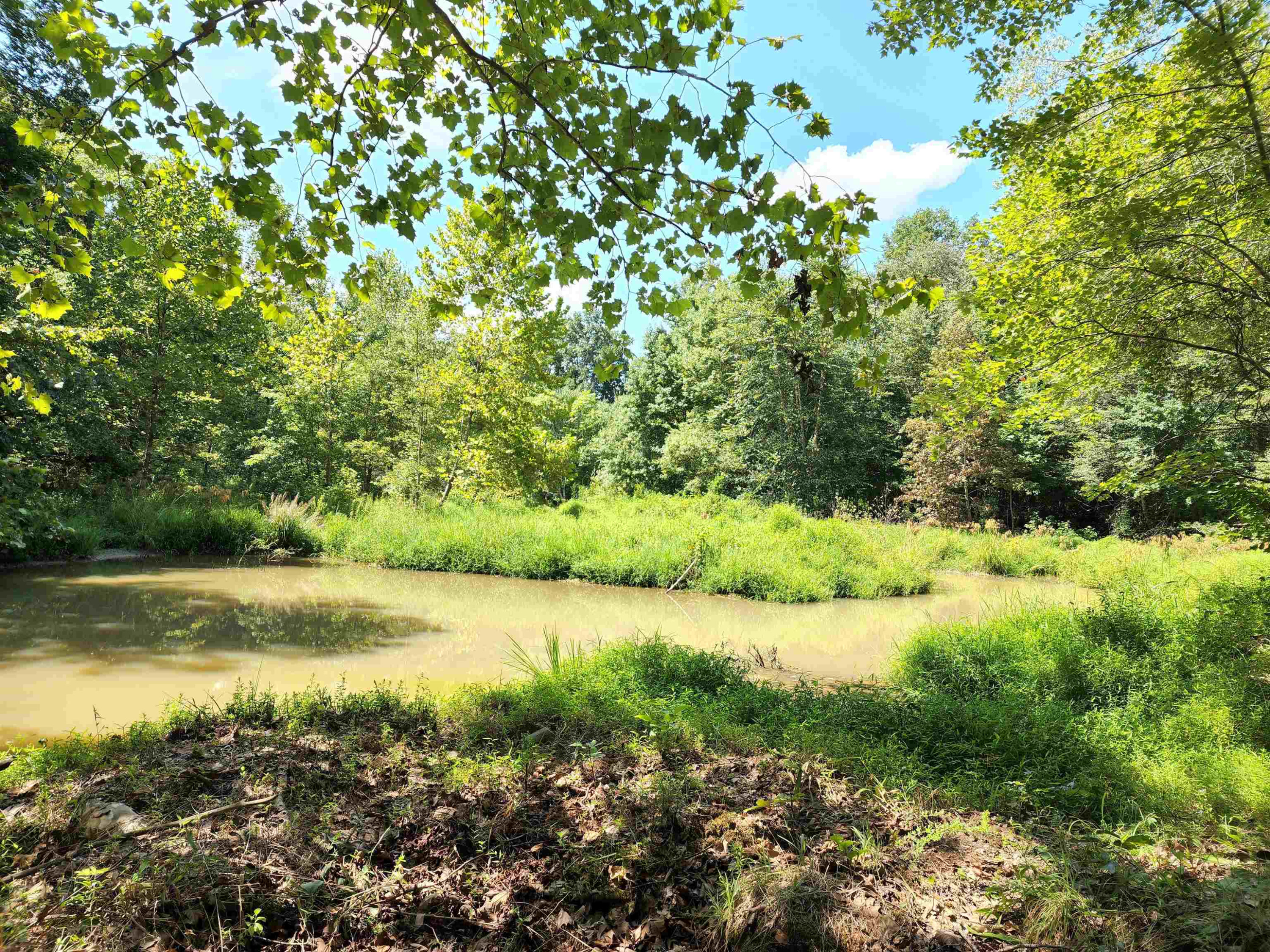 2000 Haith Fuller Trail