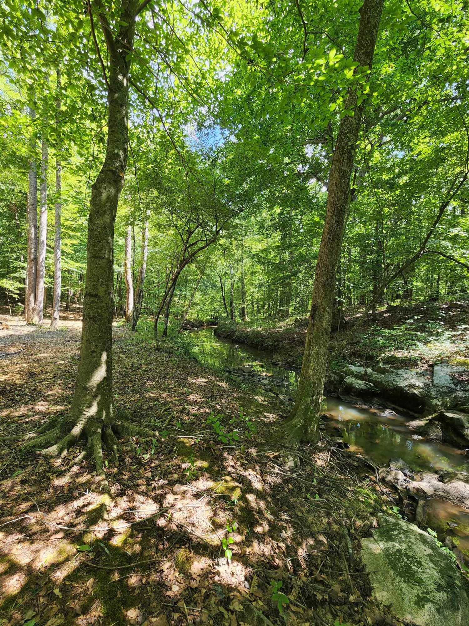 2000 Haith Fuller Trail