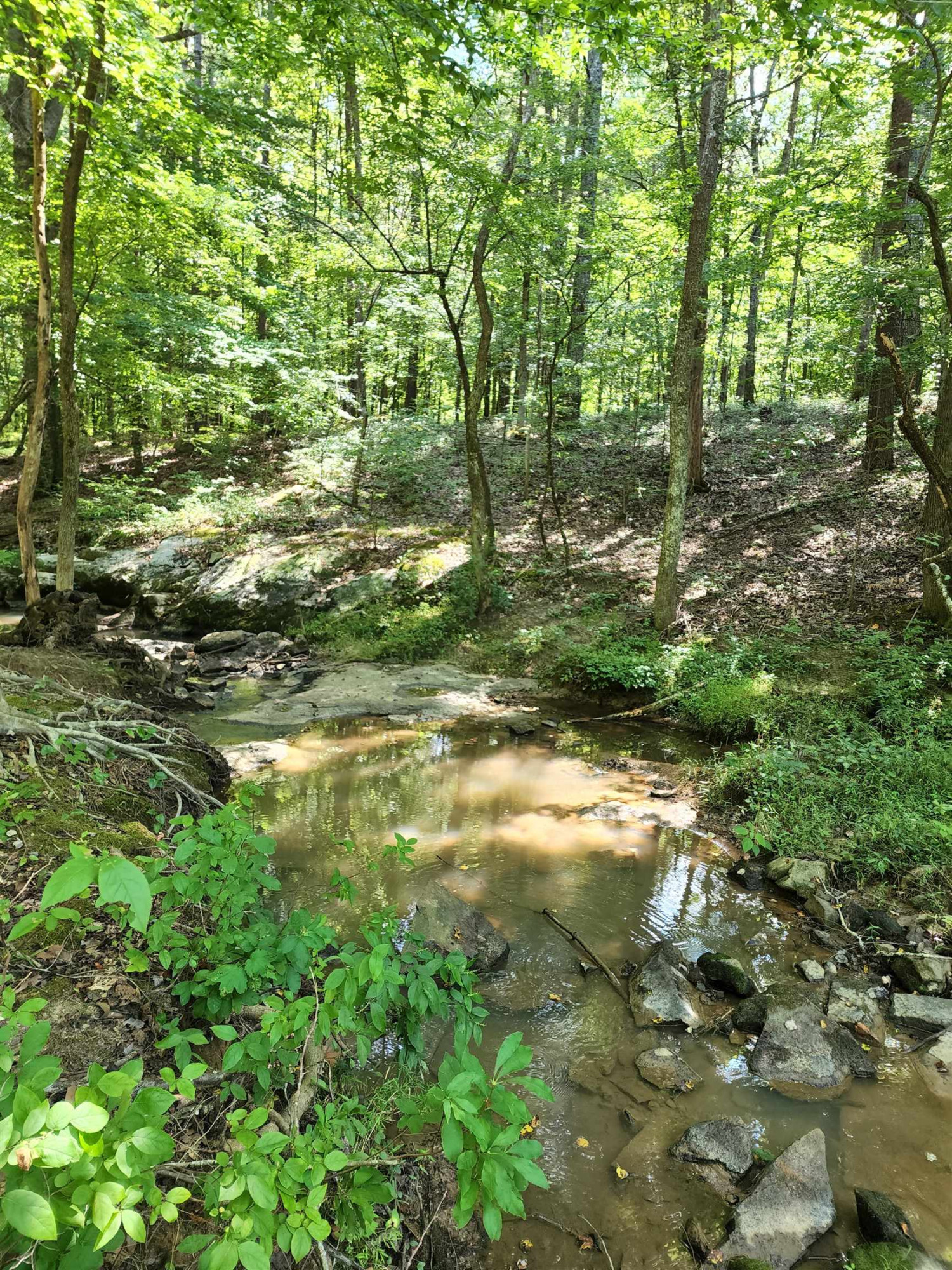 2000 Haith Fuller Trail