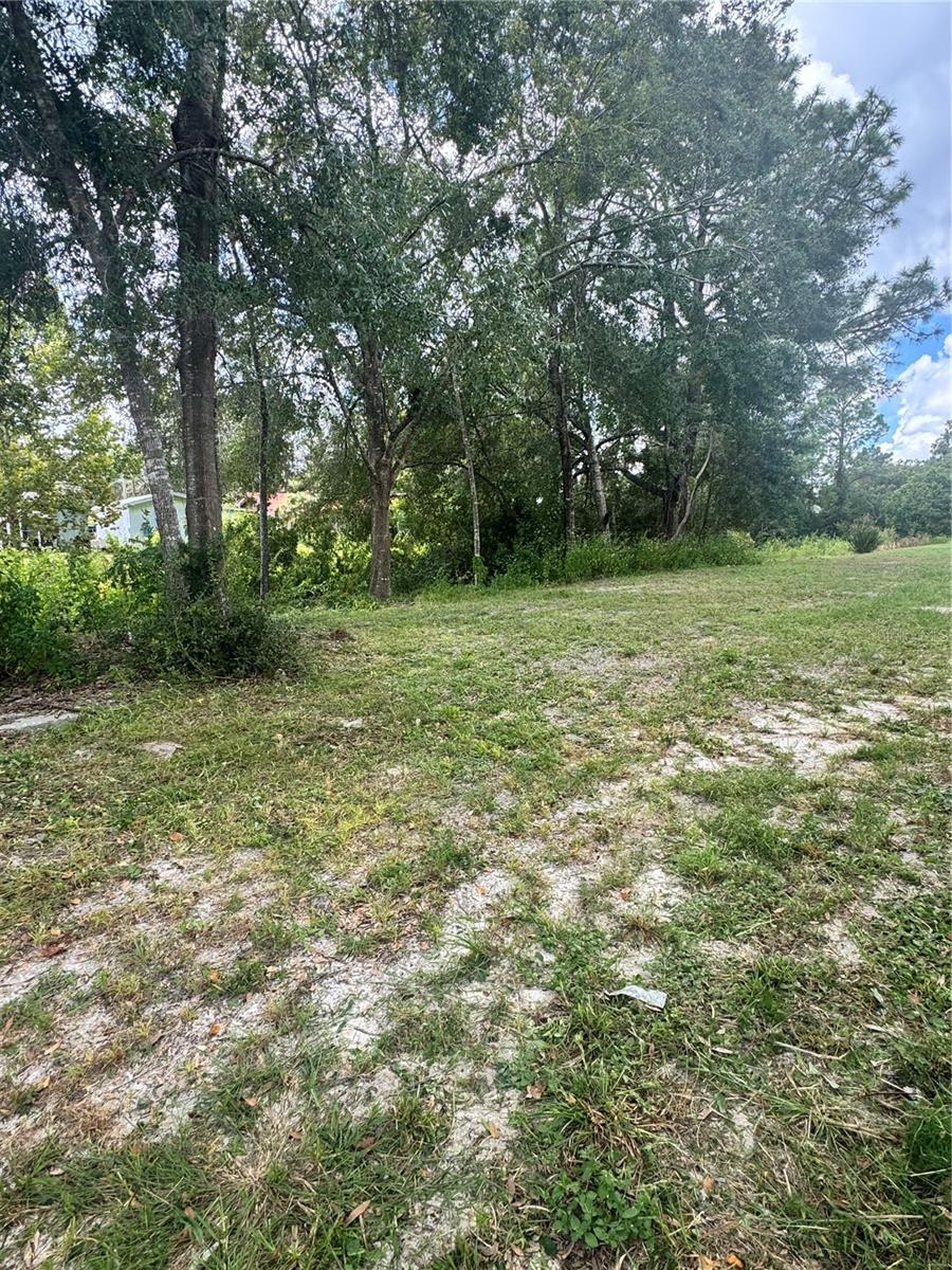 21828 VIRGINIA DR