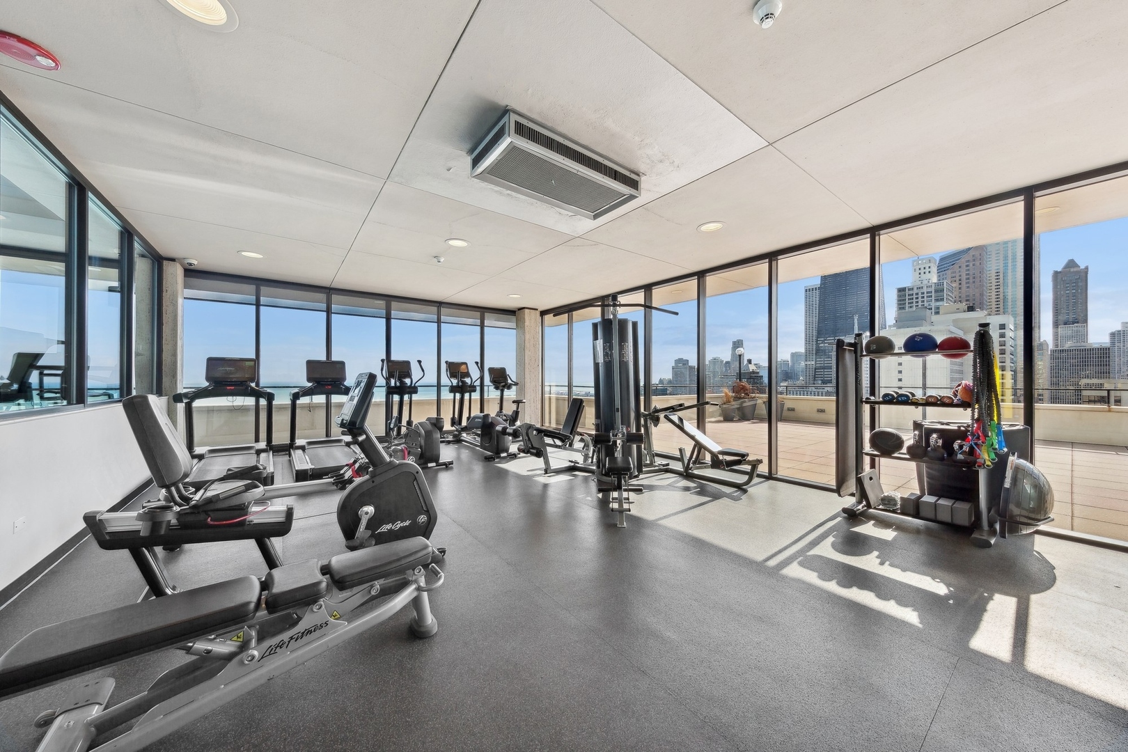 1212 N Lake Shore Drive Unit: 13CN