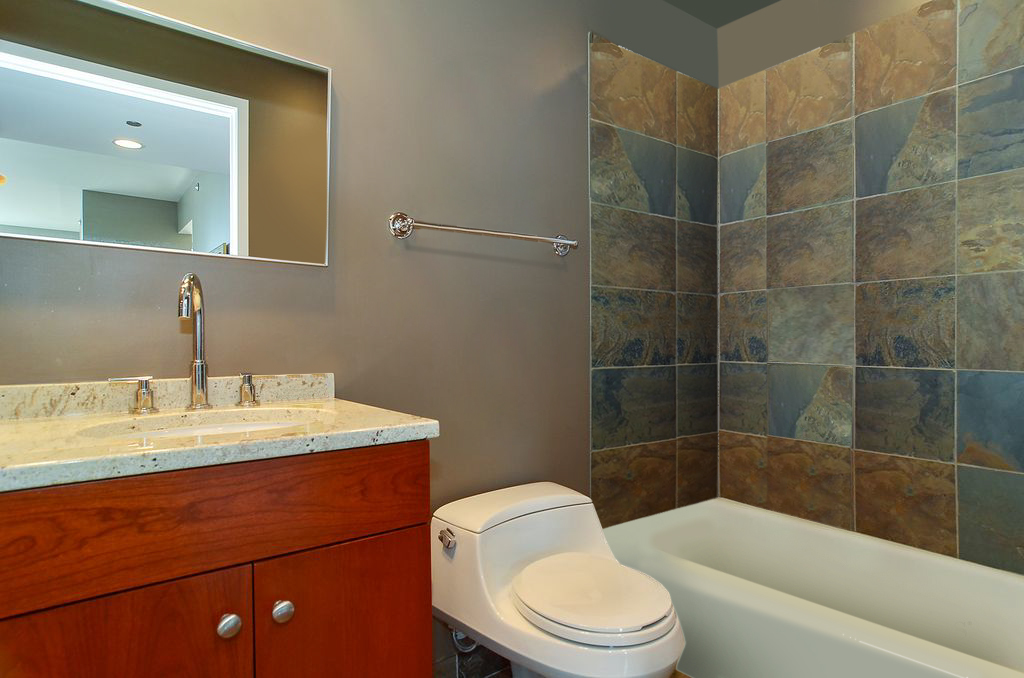 600 N Lake Shore Drive Unit: 3909