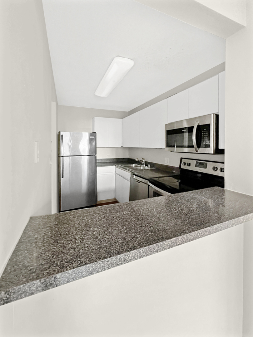 440 N WABASH Avenue Unit: 2509