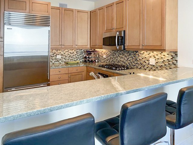 600 N Lake Shore Drive Unit: 4210
