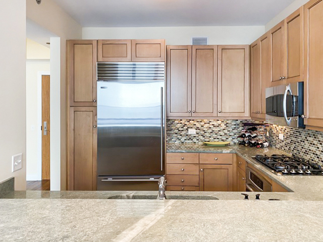 600 N Lake Shore Drive Unit: 4210