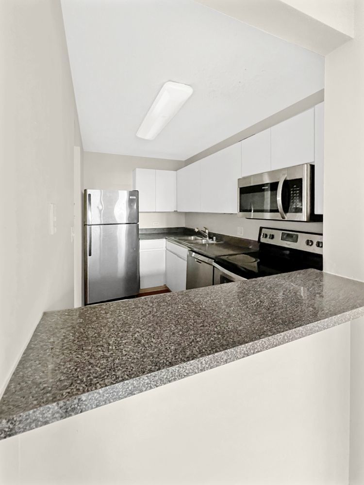 440 N WABASH Avenue Unit: 2509