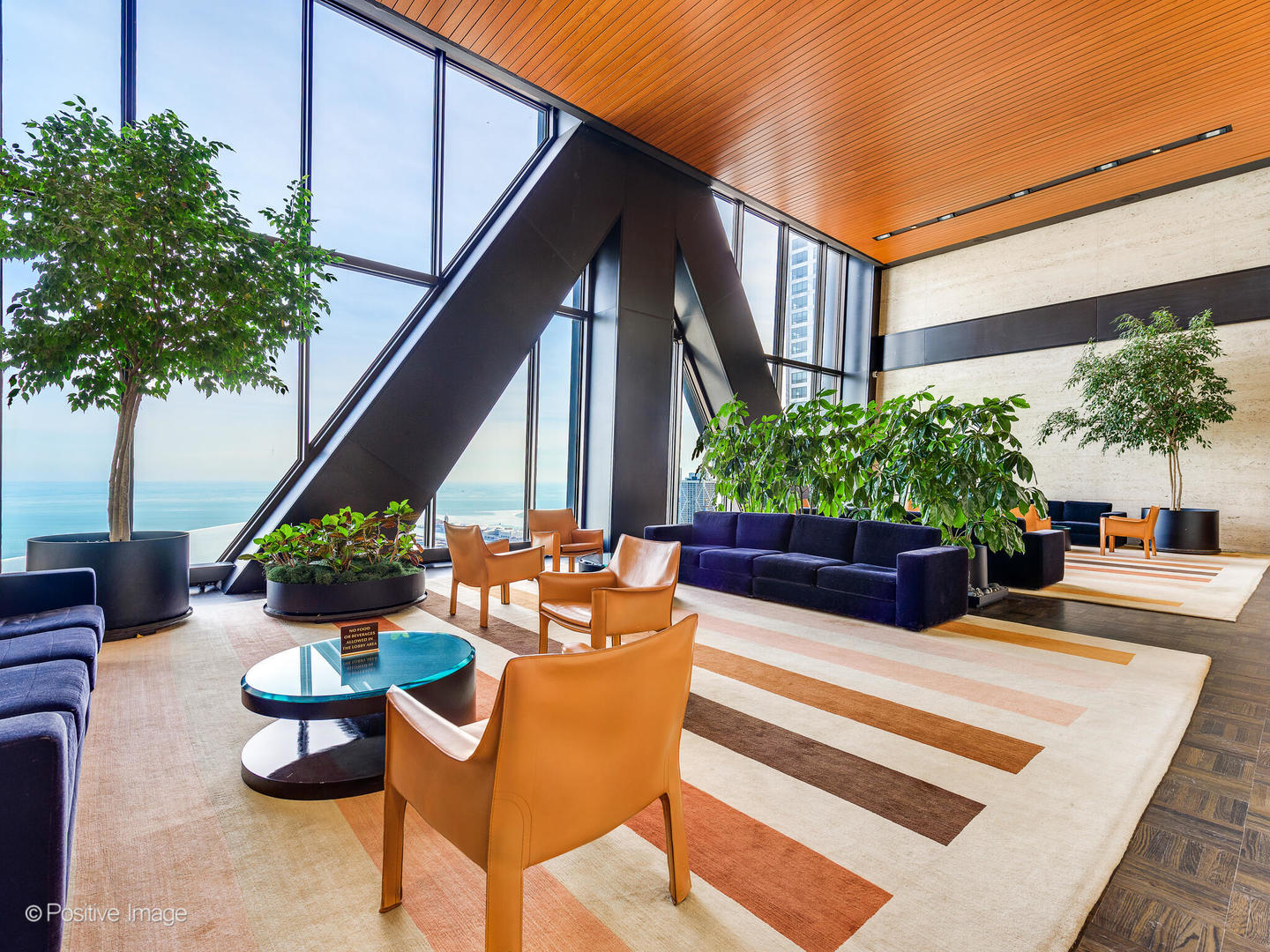 175 E Delaware Place Unit: 8808