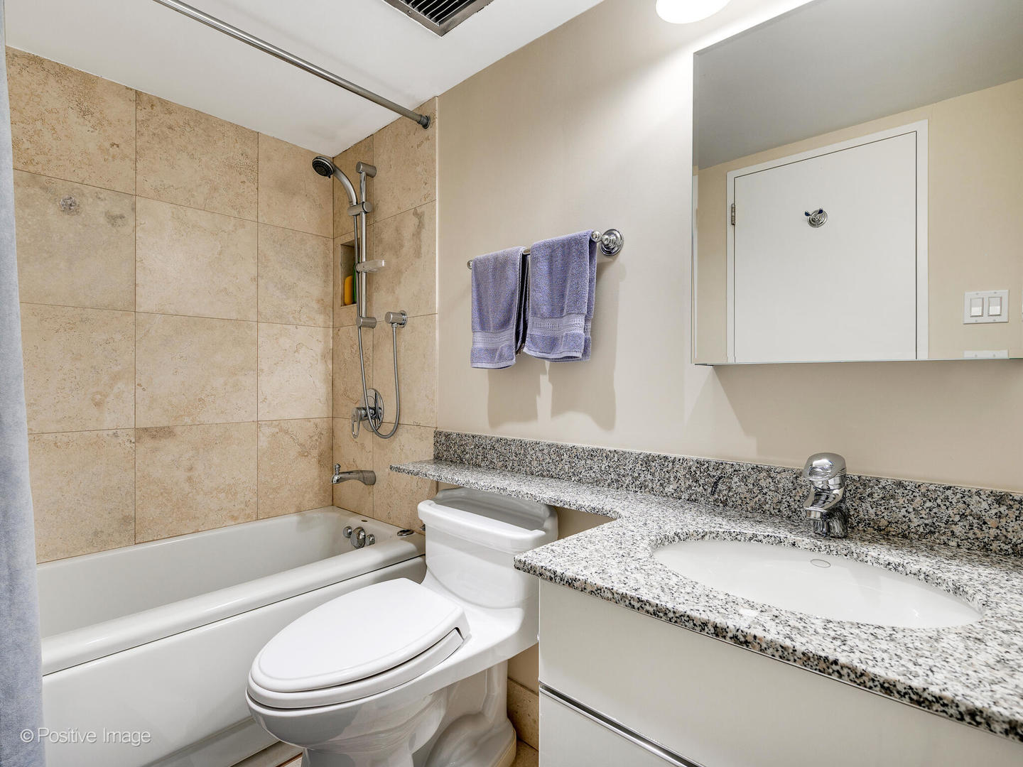 175 E Delaware Place Unit: 8808