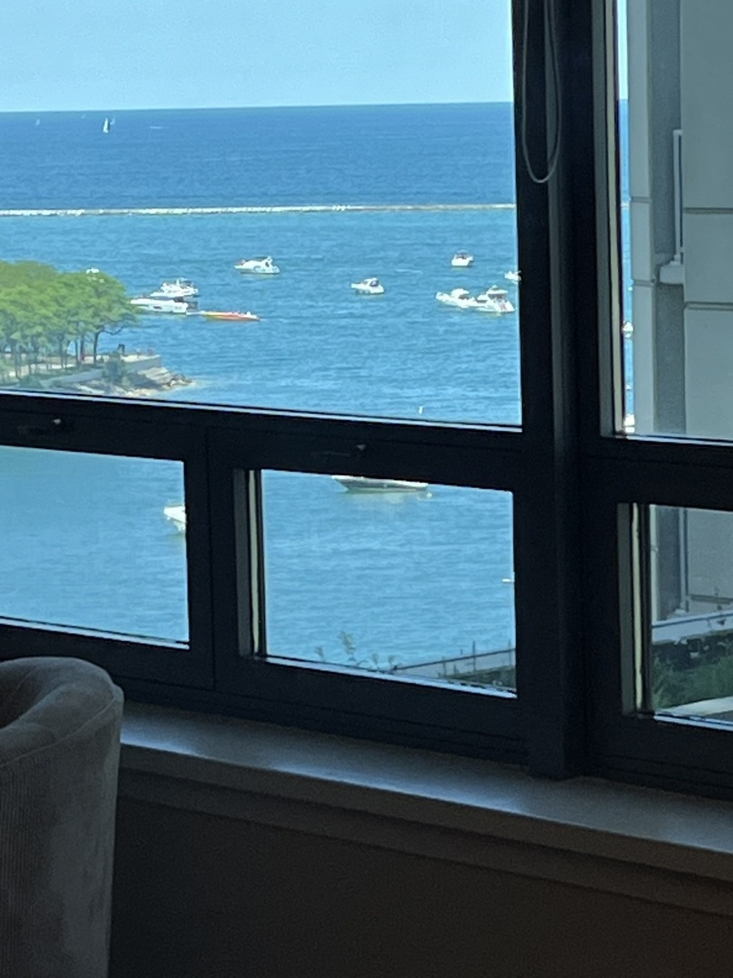 600 N Lake Shore Drive Unit: 1110