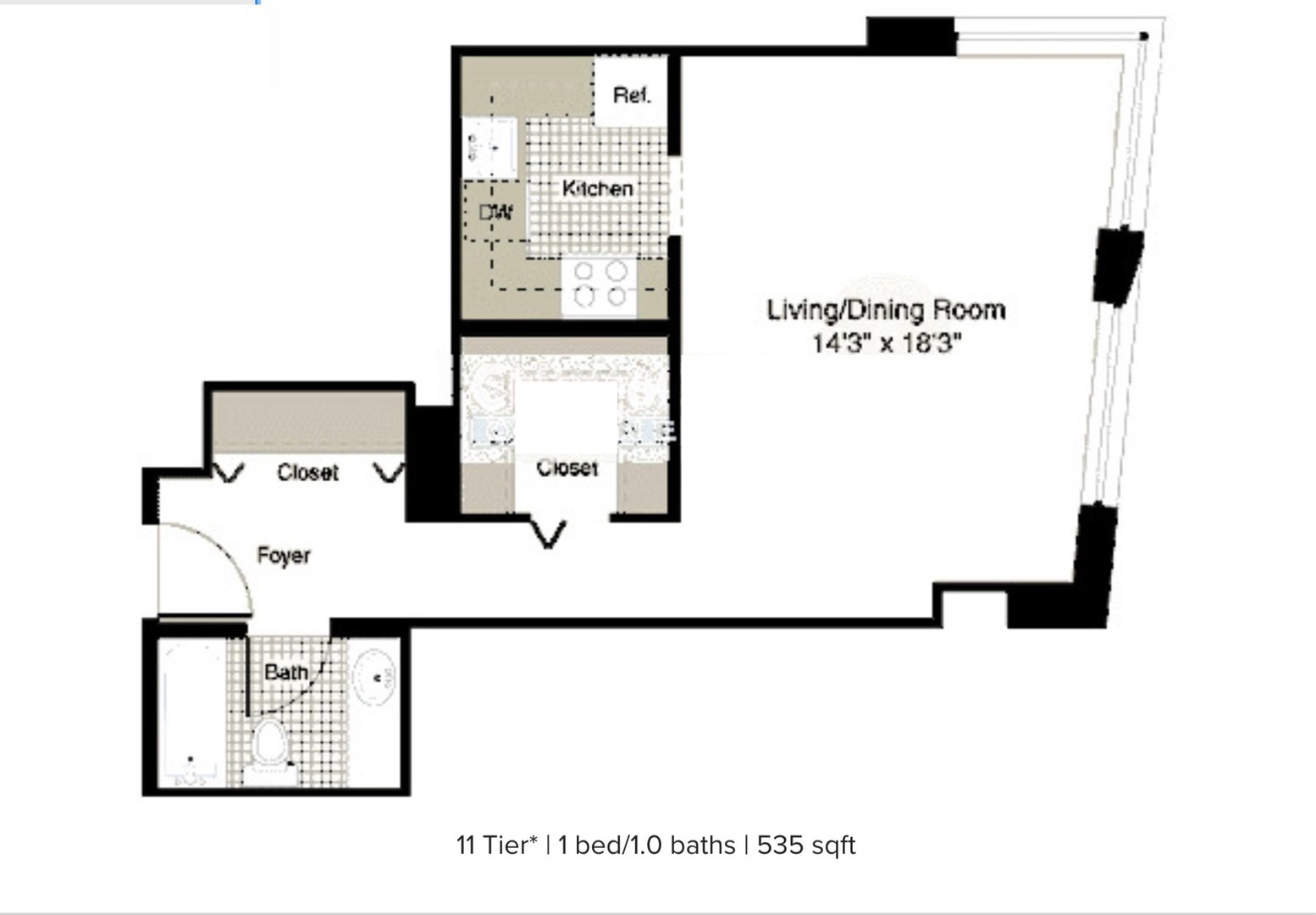 440 N Wabash Avenue Unit: 1011
