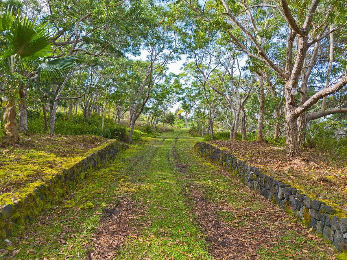 88-1569 ALA PAKAUA RD