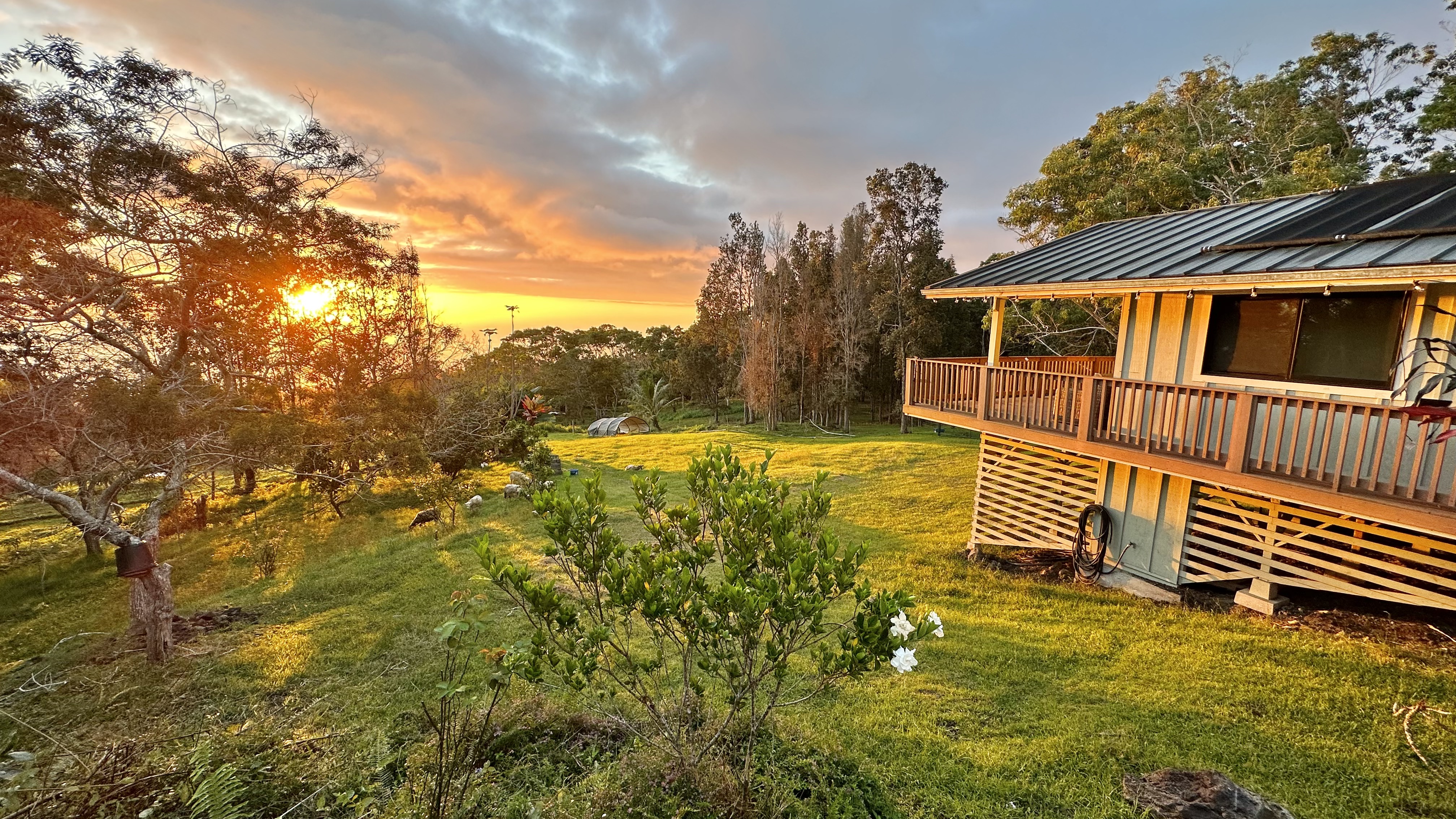 88-1569 ALA PAKAUA RD