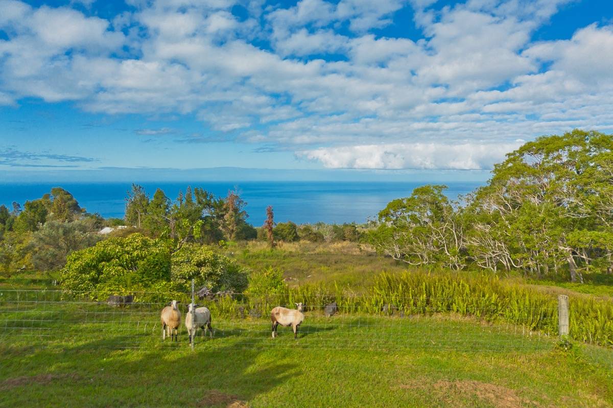 88-1569 ALA PAKAUA RD