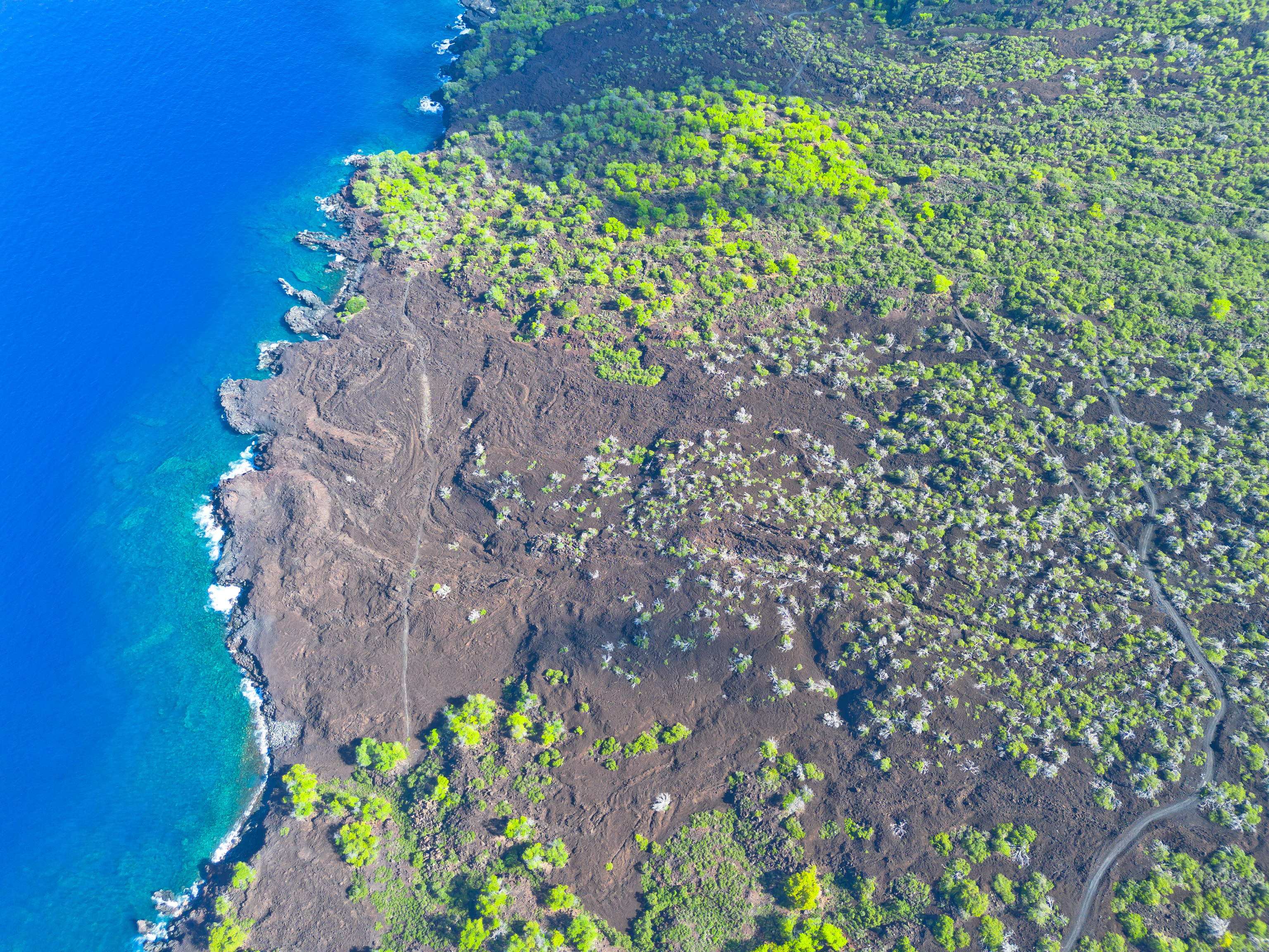 86-3845 OLD GOVERNMENT RD