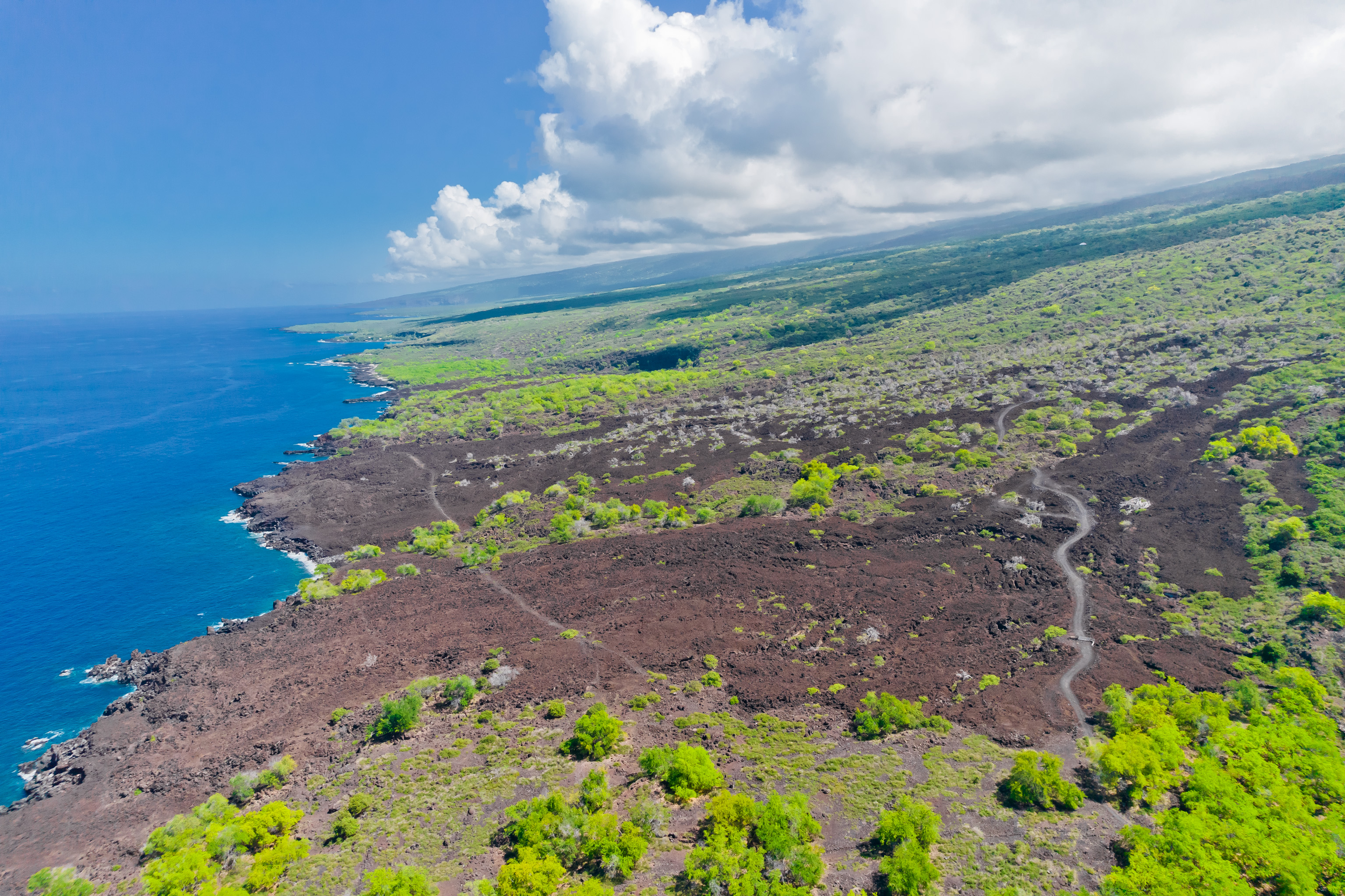 86-3845 OLD GOVERNMENT RD