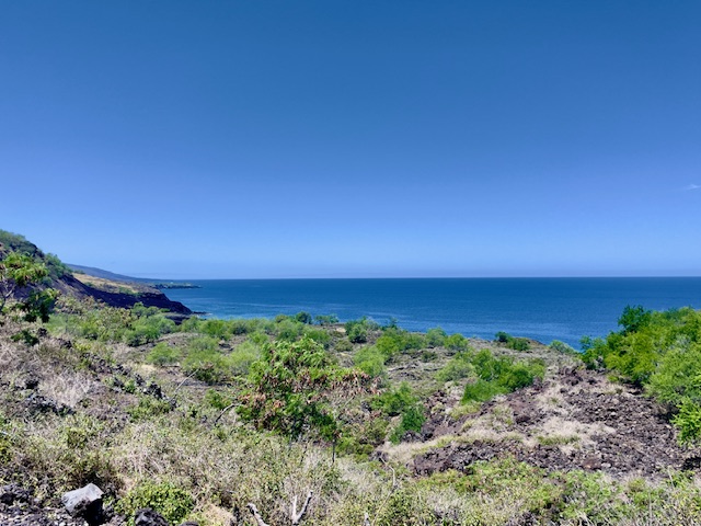 86-3845 OLD GOVERNMENT RD