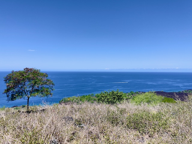 86-3845 OLD GOVERNMENT RD