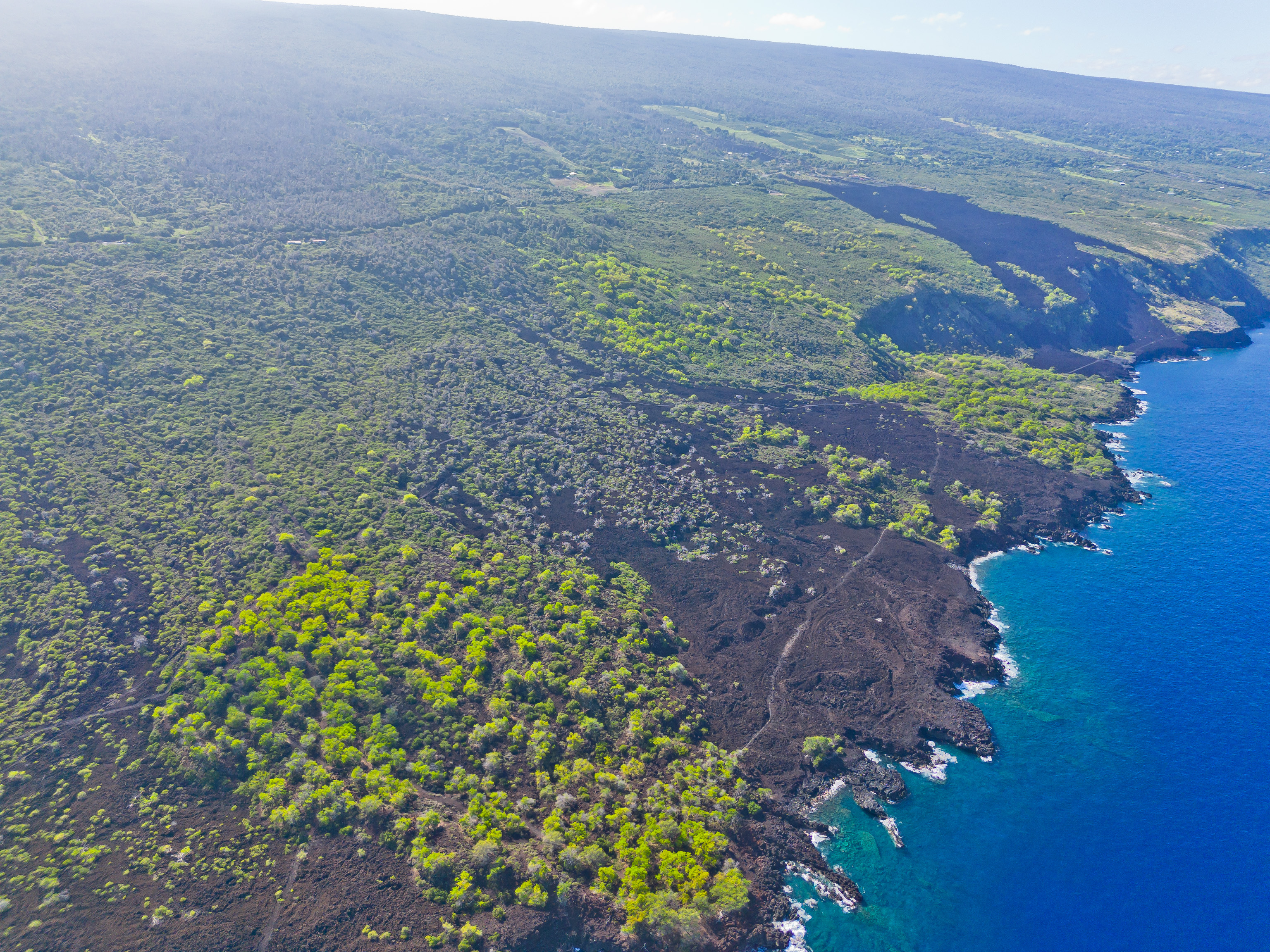 86-3845 OLD GOVERNMENT RD