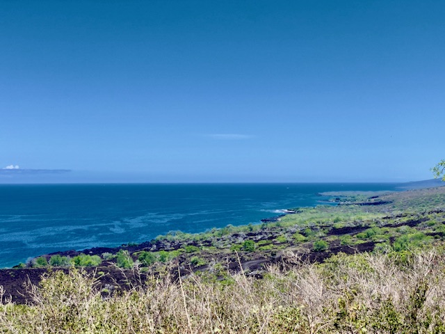 86-3845 OLD GOVERNMENT RD