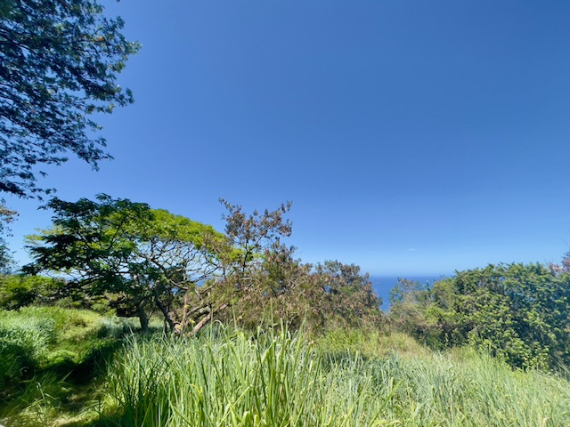 86-3845 OLD GOVERNMENT RD