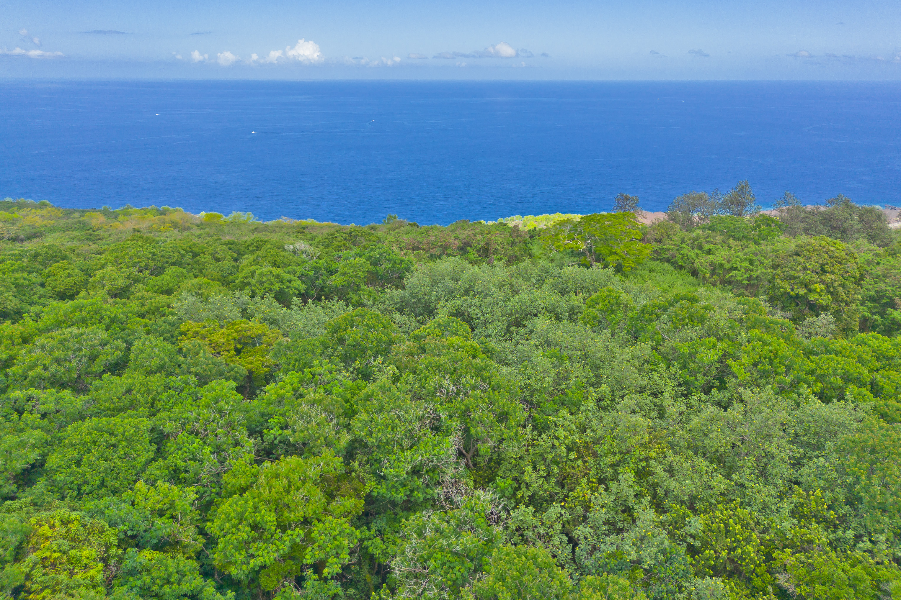 86-3845 OLD GOVERNMENT RD