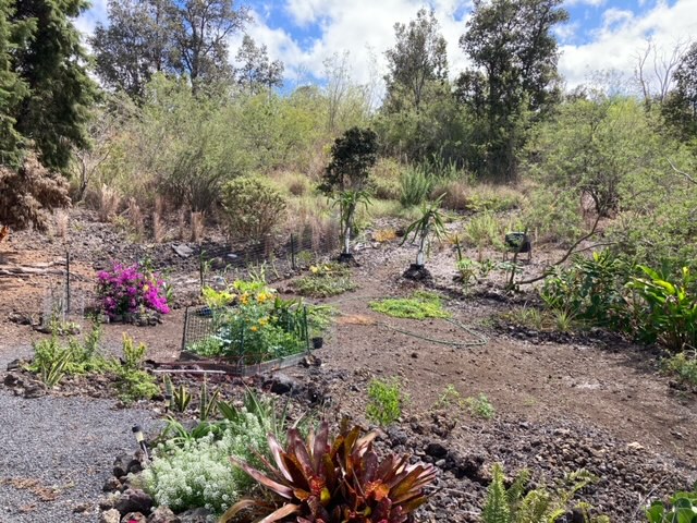 92-1520 LUAU DR