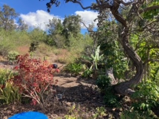 92-1520 LUAU DR