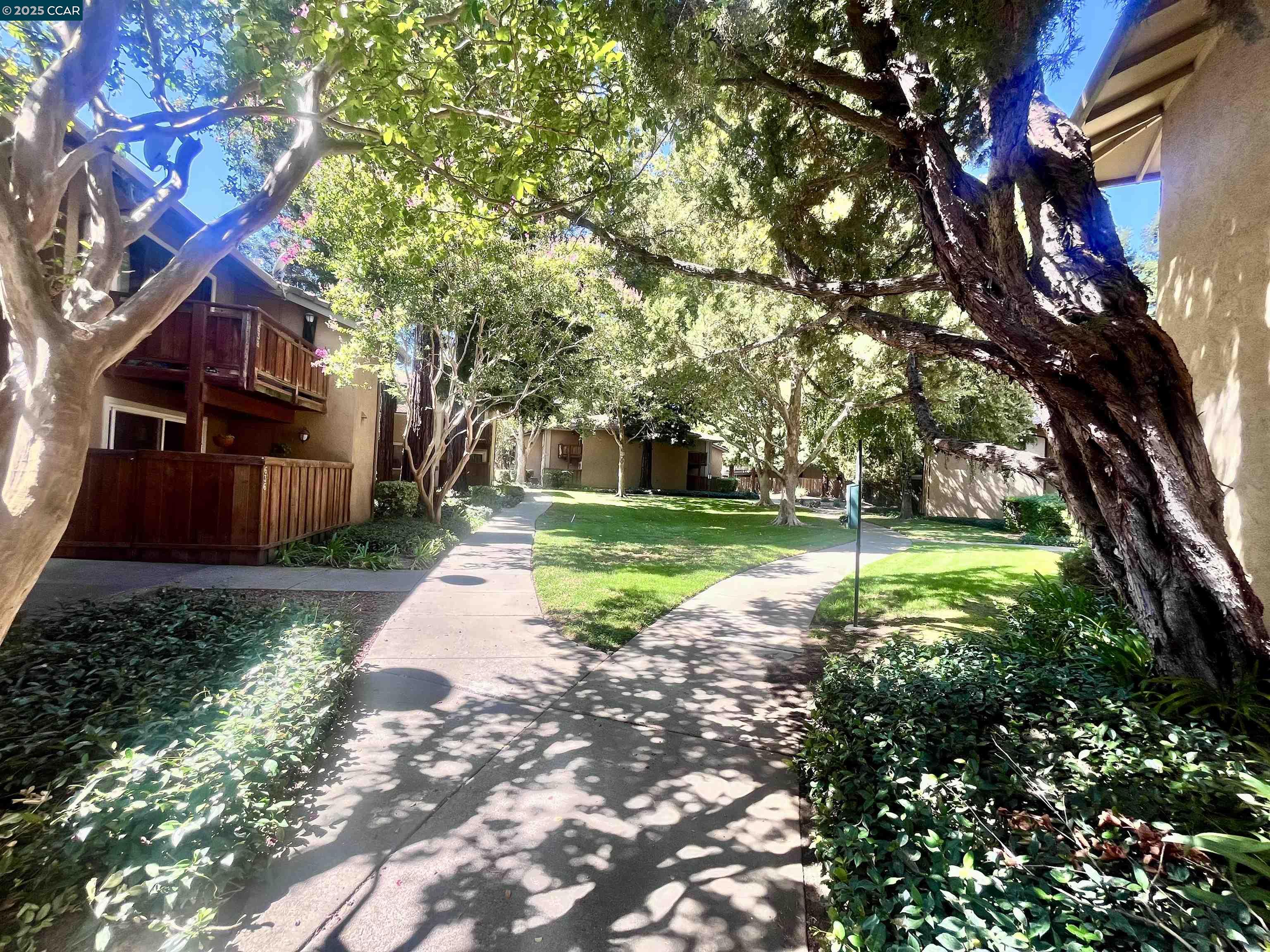 636 Arcadia Dr