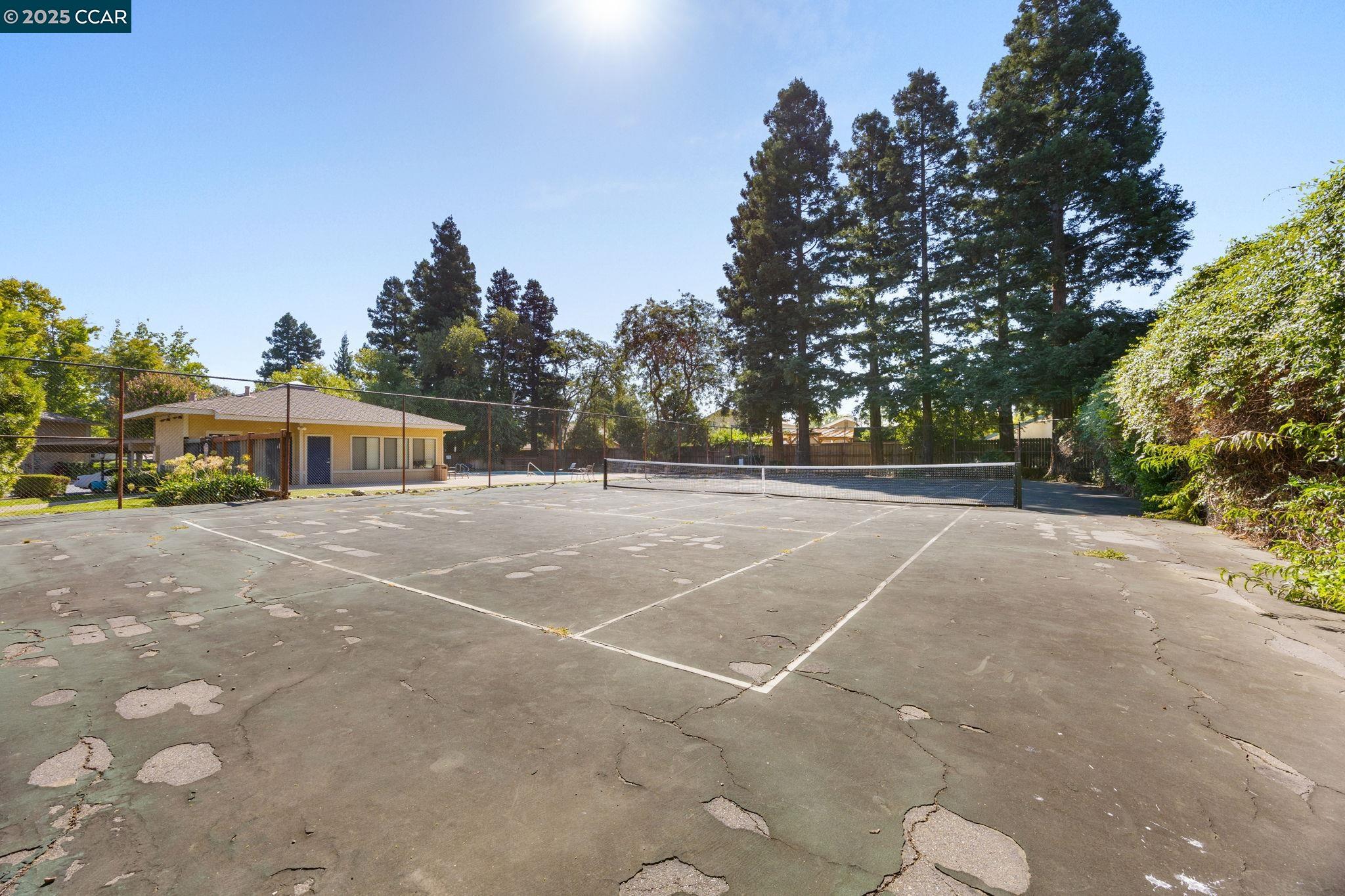 636 Arcadia Dr