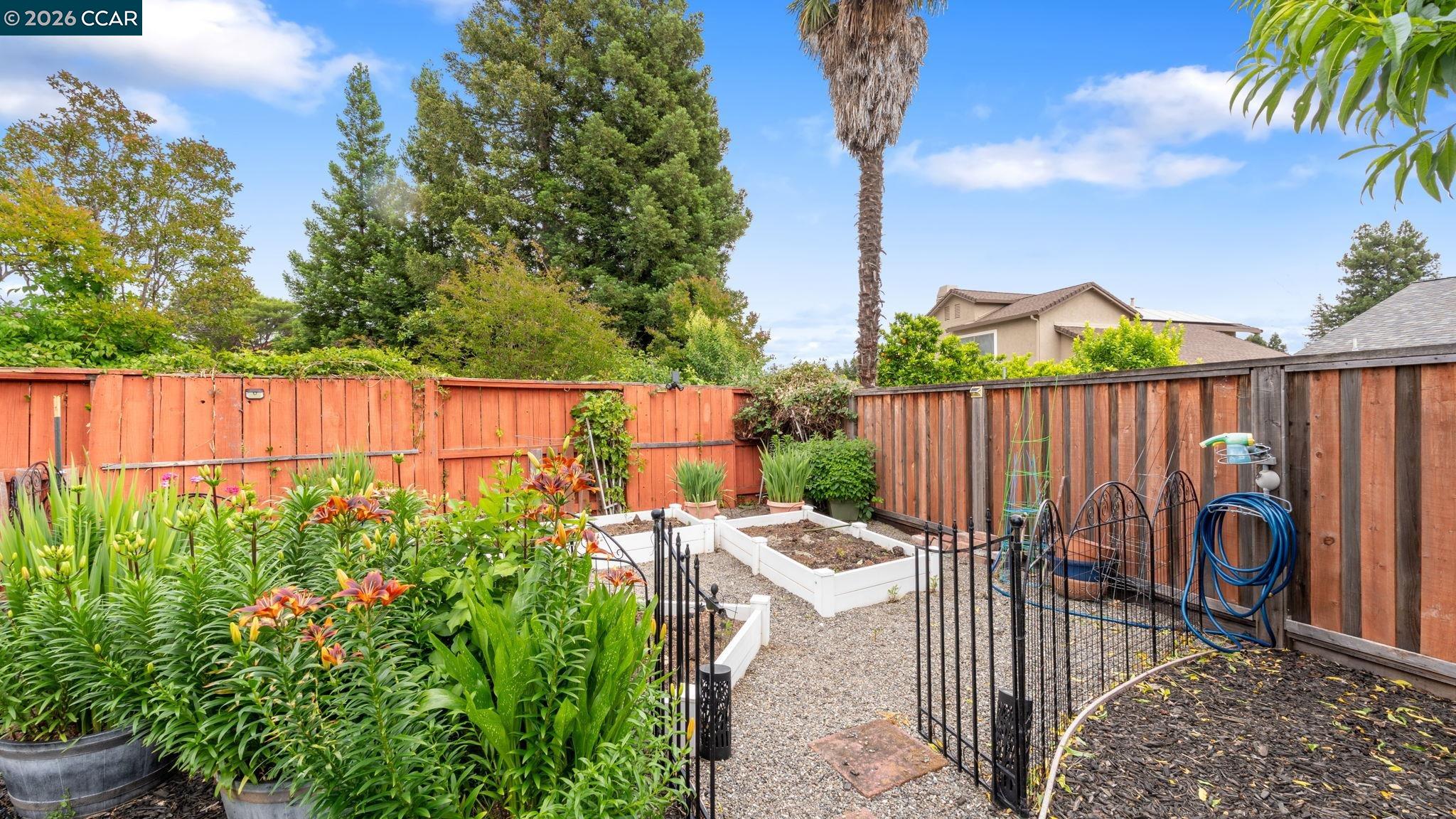 515 Lupine Cir