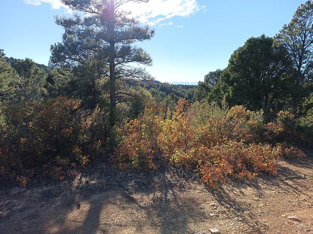 LOT 86 Ponderosa Hills