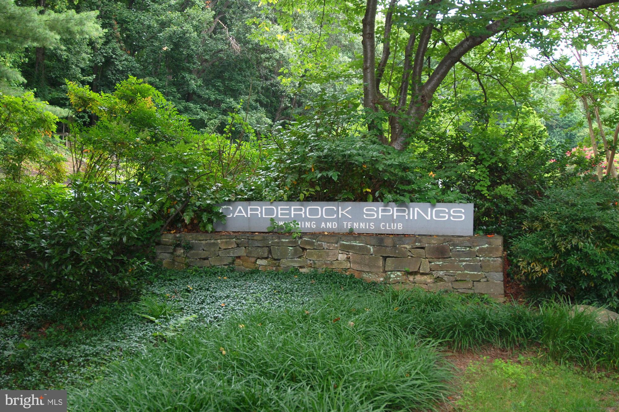 8121 LILLY STONE DR