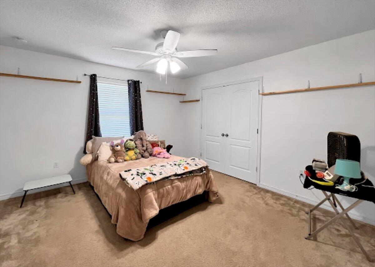 2428 Abaco Drive