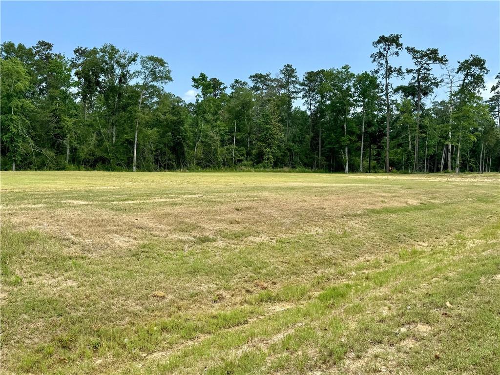Lots 866 & 867 SILVERBERRY Drive