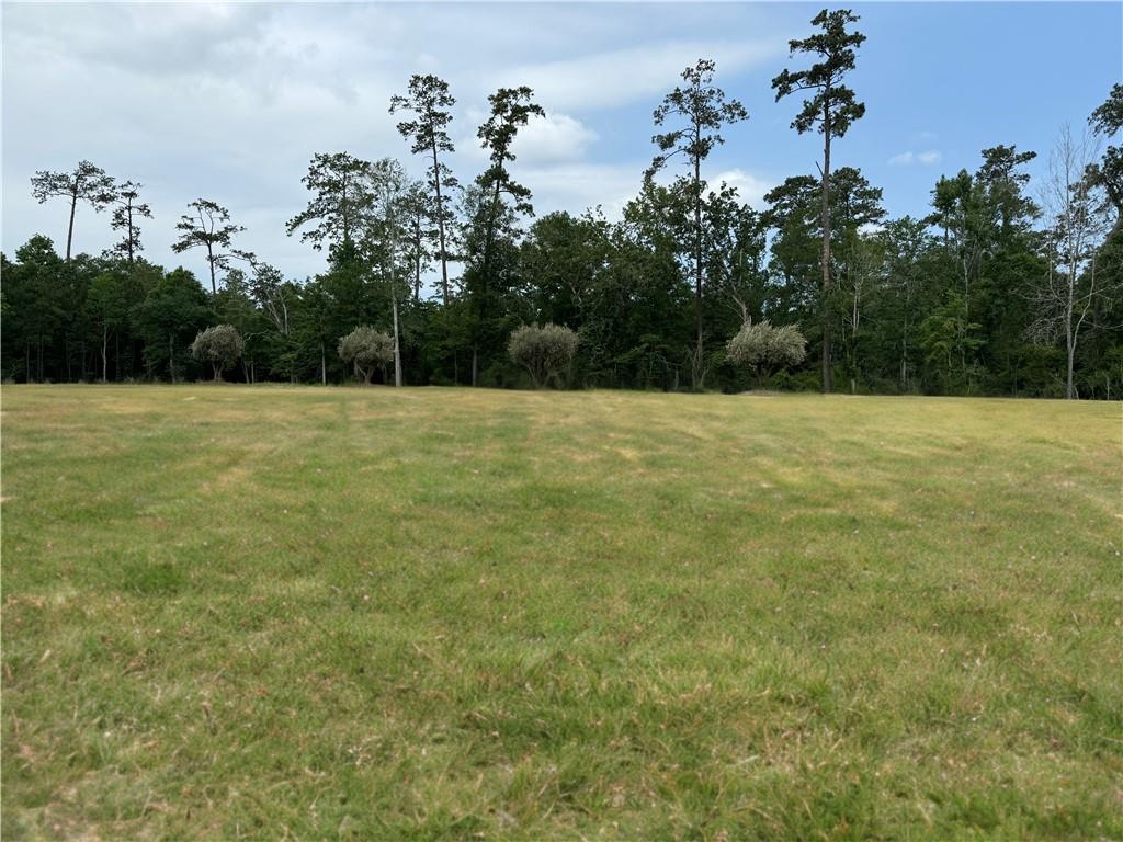 Lots 866 & 867 SILVERBERRY Drive
