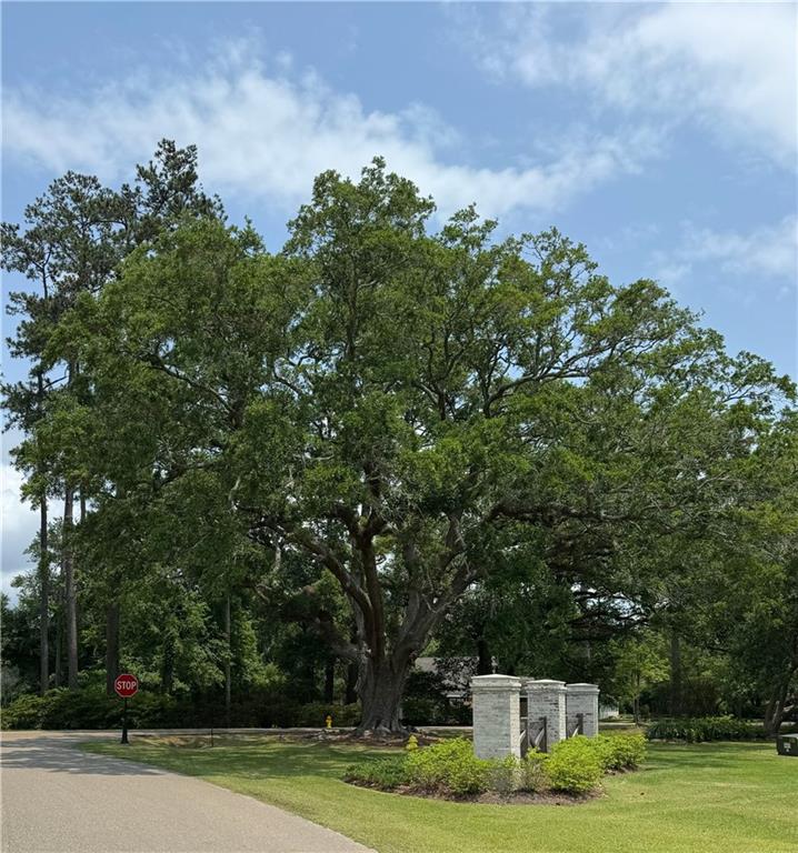 Lots 866 & 867 SILVERBERRY Drive
