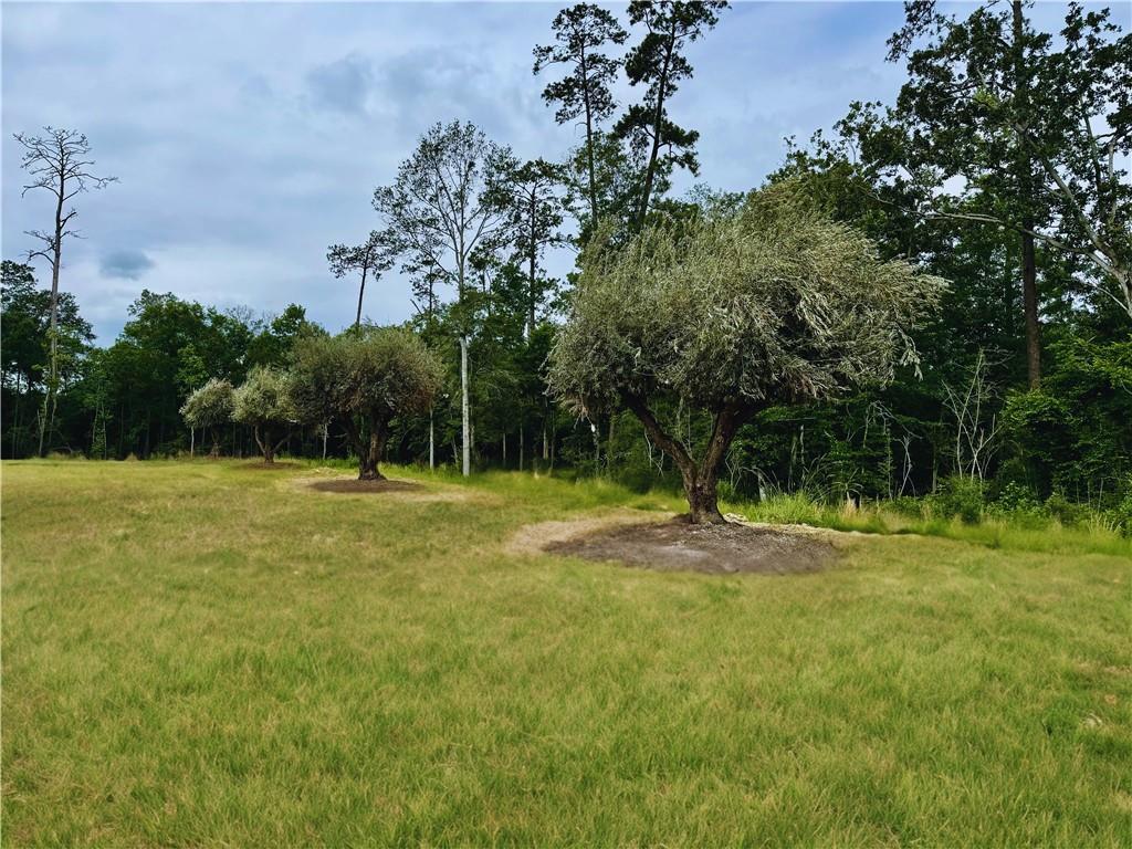 Lots 866 & 867 SILVERBERRY Drive
