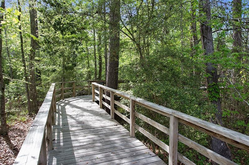 200 OLEANDER Court
