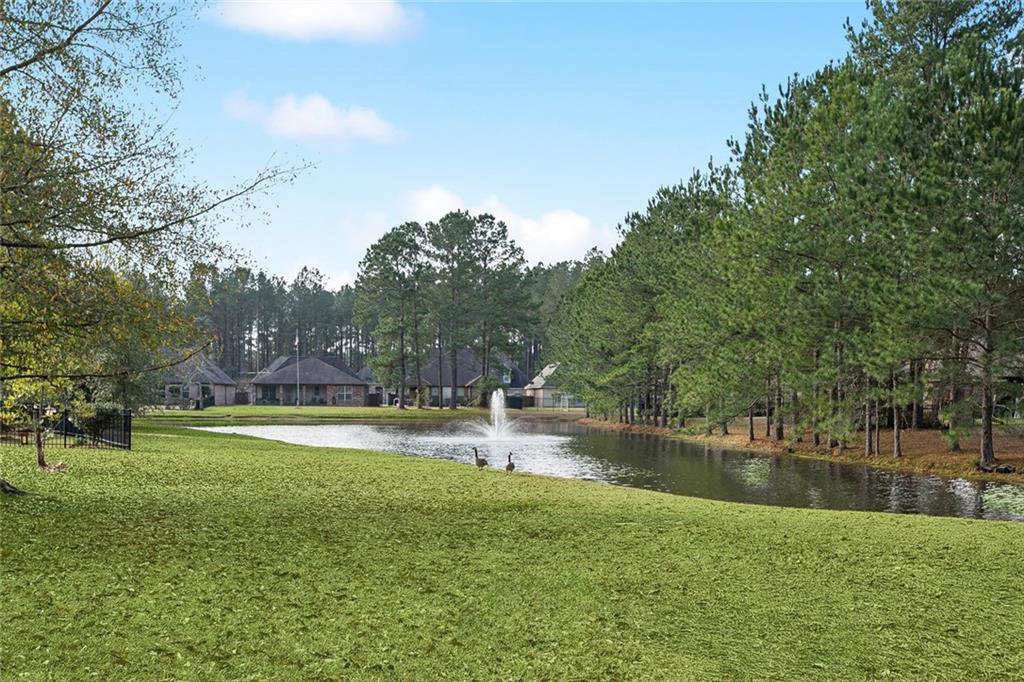 231 BEEBALM Circle