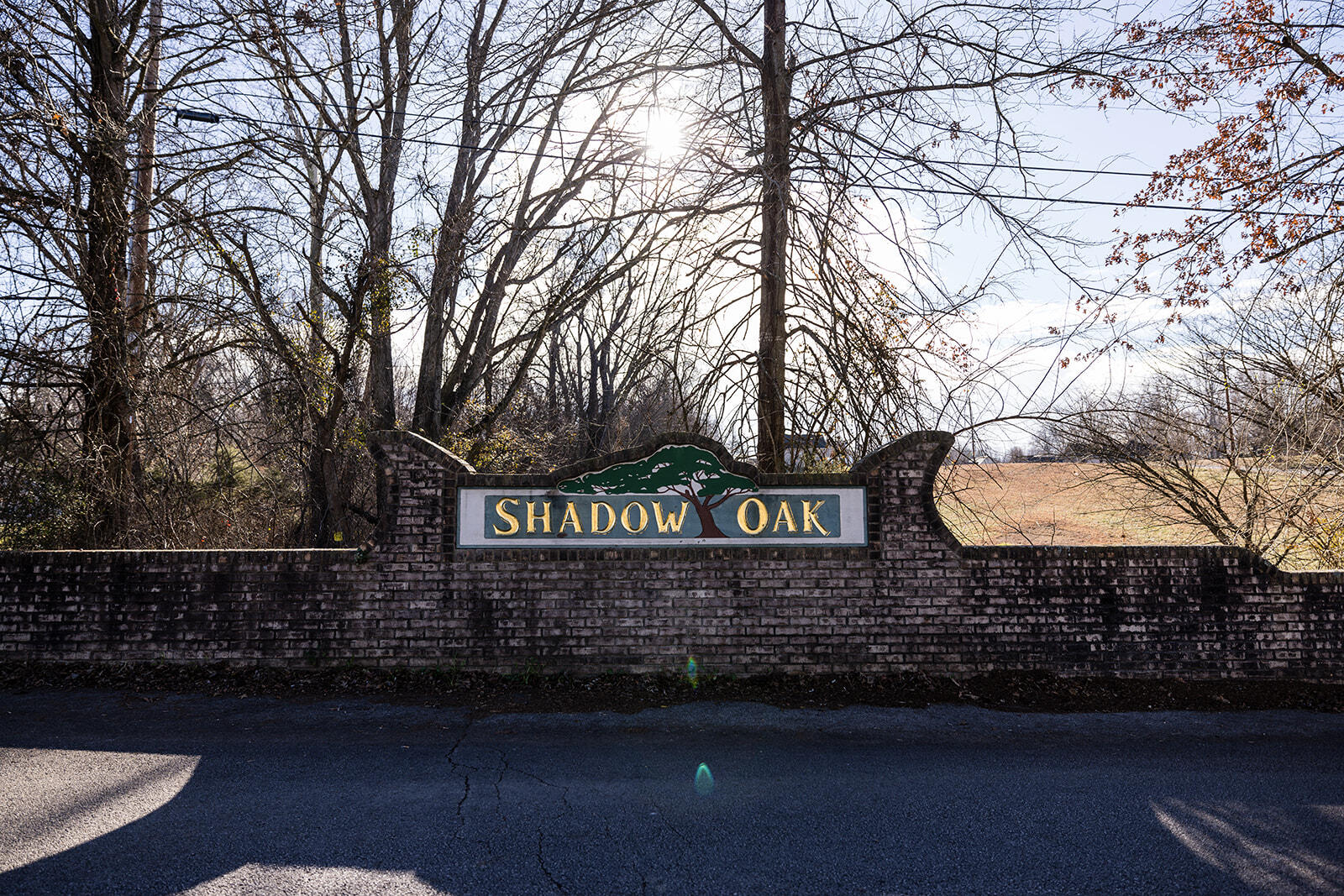 52 Shadow Oak Drive