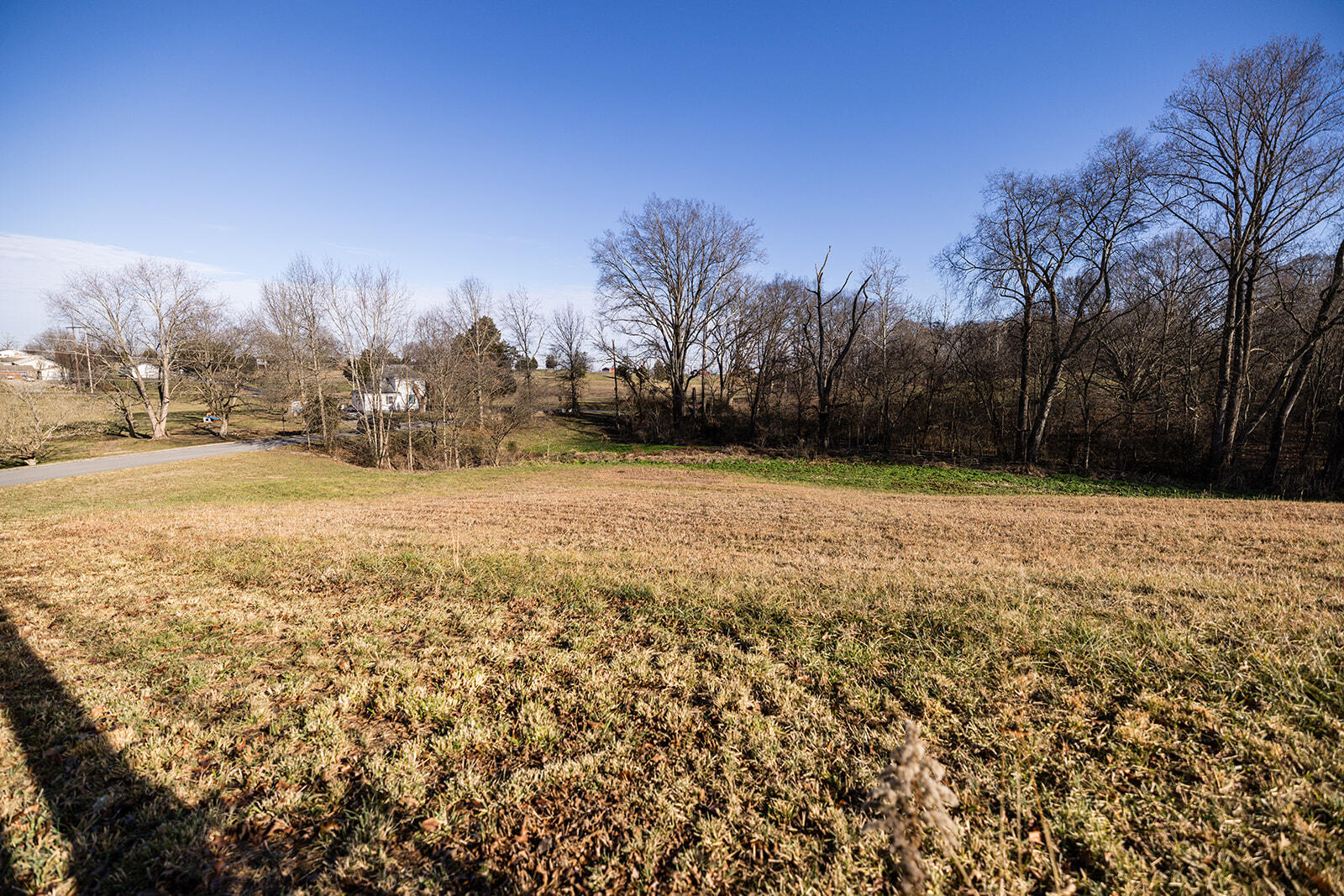 52 Shadow Oak Drive